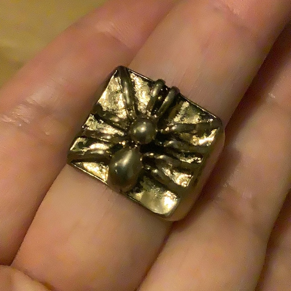 NWOT Zara Black Widow Signet Ring